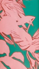 Kaethe Maxi Dress - Green/Pink Floral