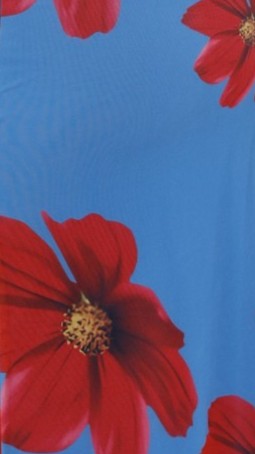 Eisa One Shoulder Maxi Dress - Blue / Red Floral